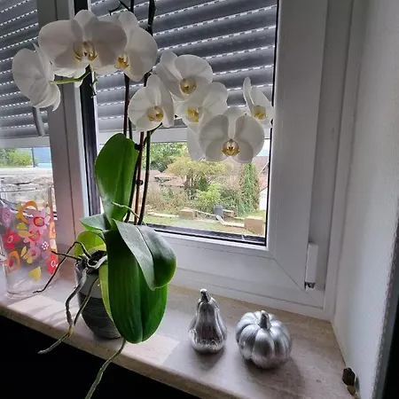 Moises Y Ruth Appartement *